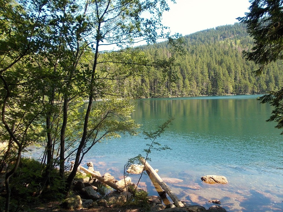 Křížem krážem Šumavou. Co vám road trip na jihu ČR nabízí?